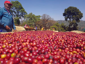 Ethiopie