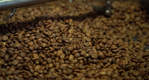 grain de café torréfié par Allpeco